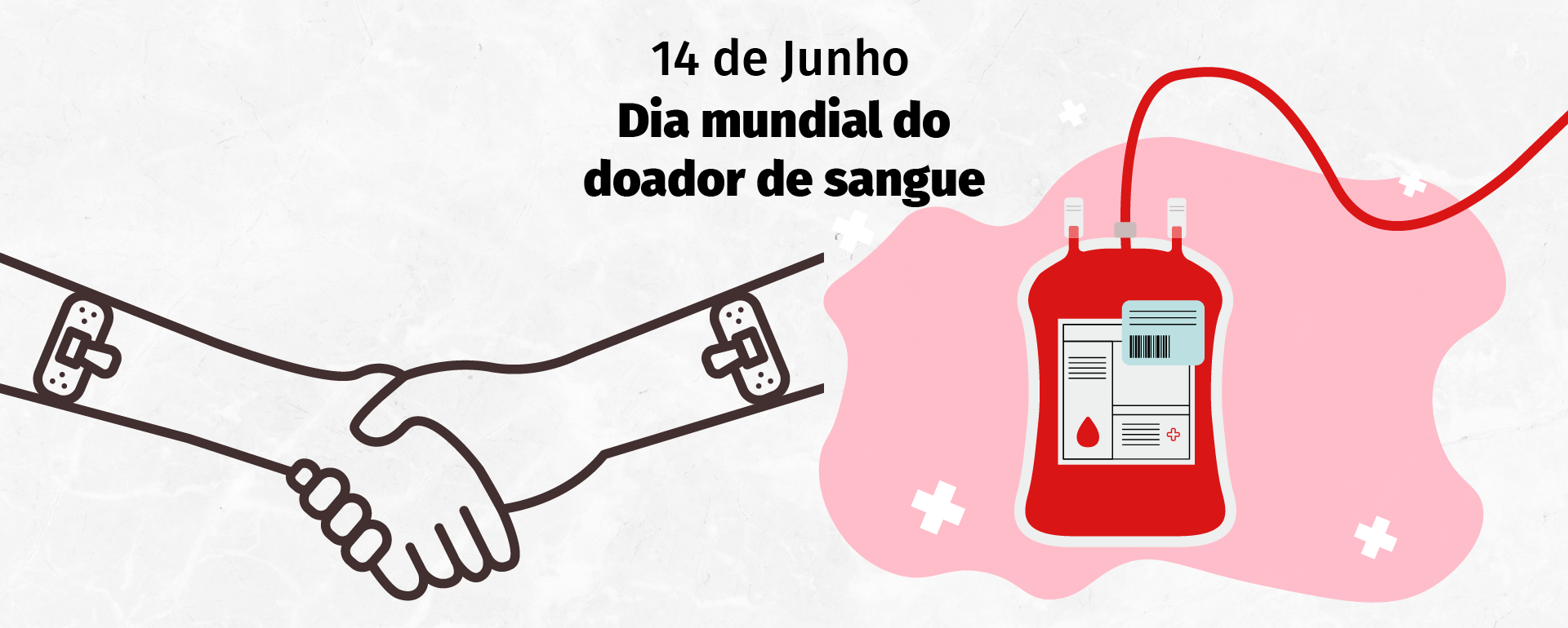 14 de junho – Dia Mundial do(a) Doador(a) de Sangue