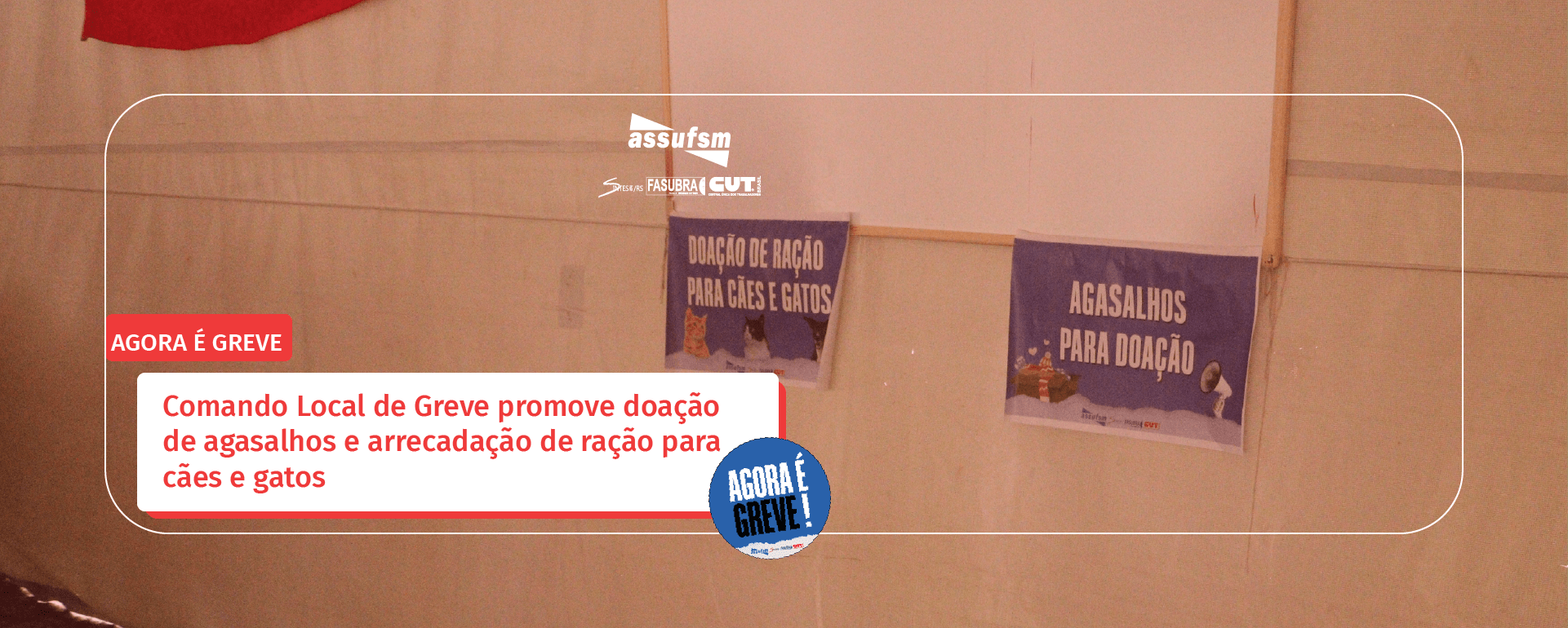 Comando Local de Greve promove doação de agasalhos e arrecadação de ração para cães e gatos