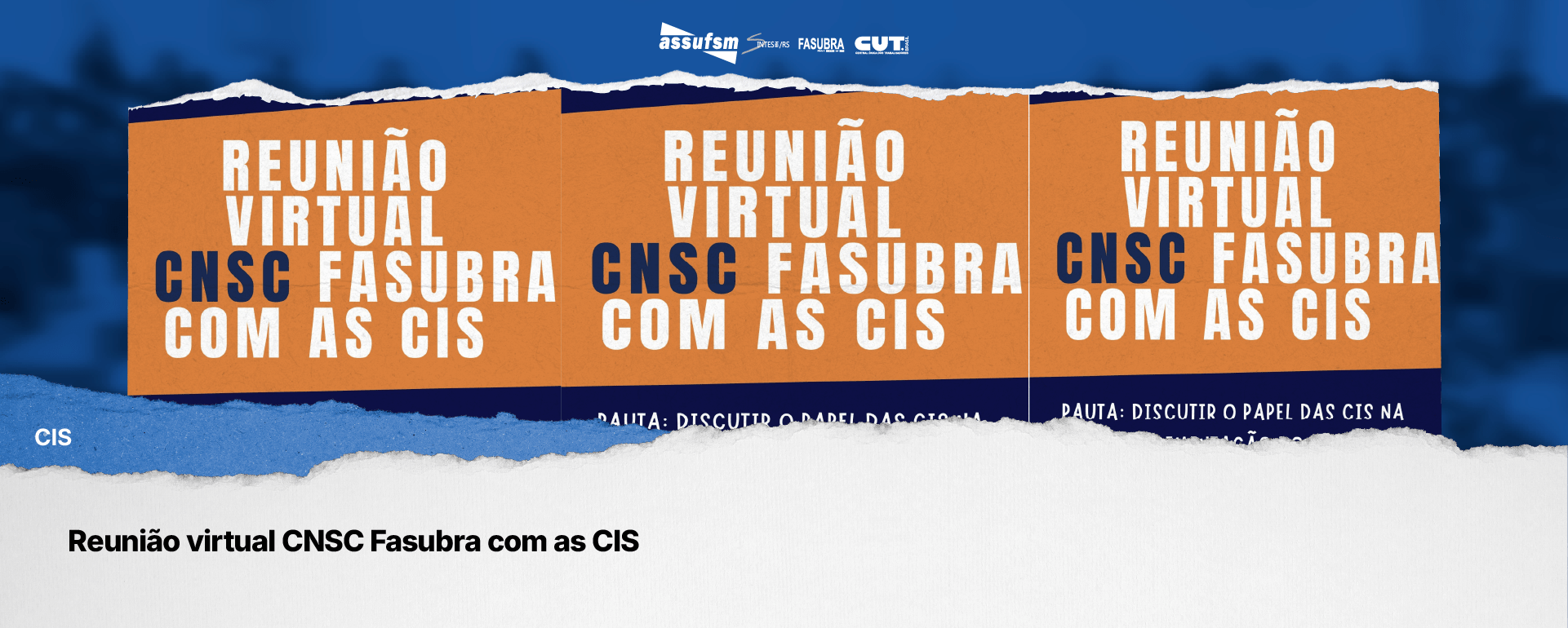 Reunião virtual CNSC Fasubra com as CIS