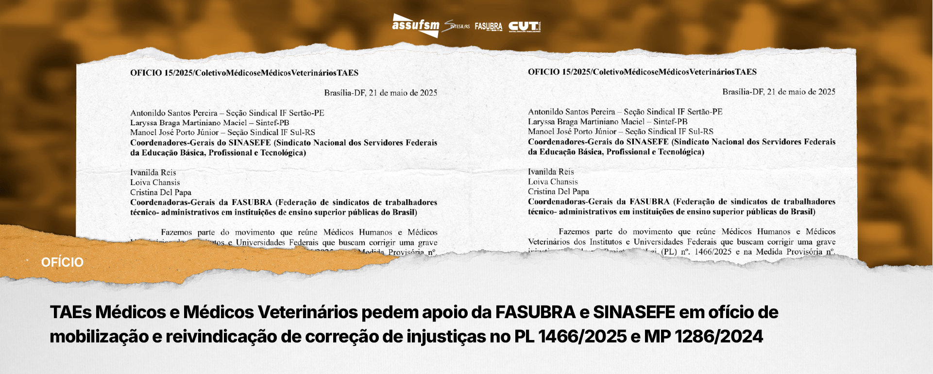 TAEs Médicos e Médicos Veterinários pedem apoio da FASUBRA e SINASEFE em ofício de mobilização e reivindicação de correção de injustiças no PL 1466/2025 e MP 1286/2024