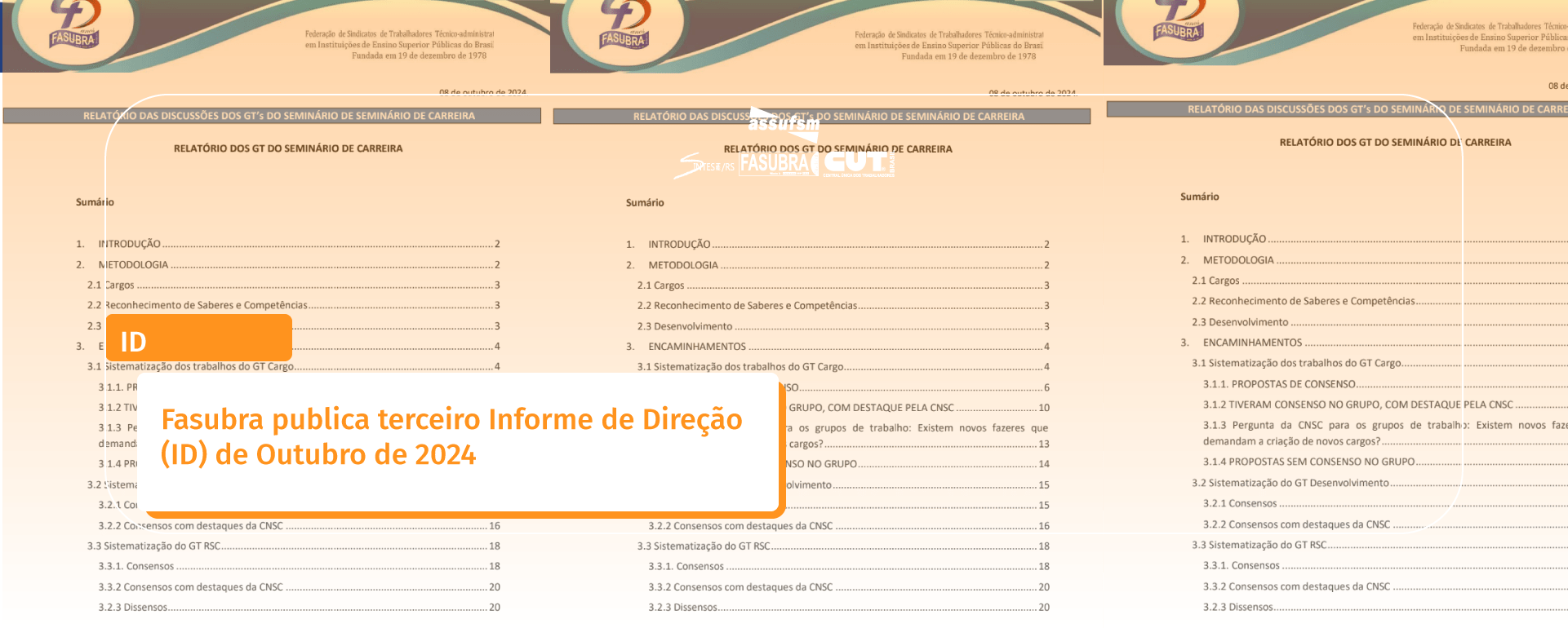 Fasubra publica terceiro Informe de Direção (ID) de Outubro de 2024