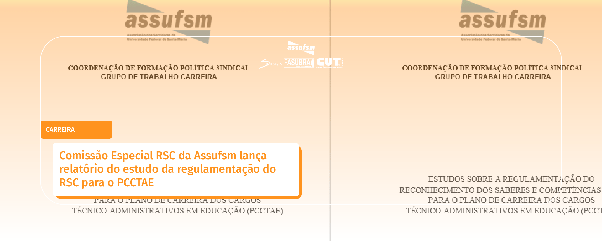 Comissão Especial RSC da Assufsm lança relatório do estudo da regulamentação do RSC para o PCCTAE