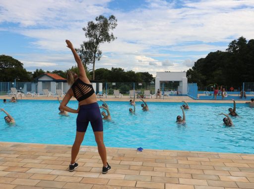 51496061_2412364158787372_8982885071216181248_o